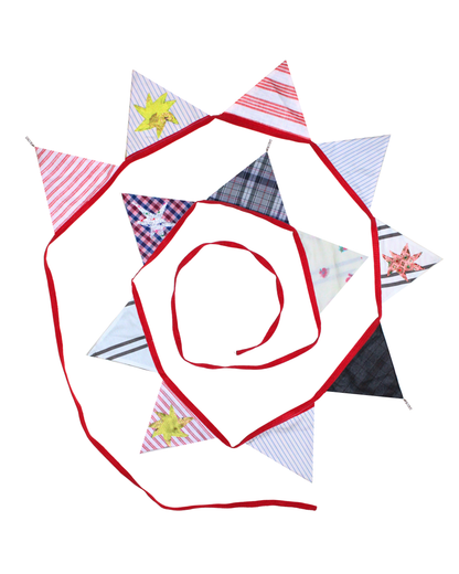 Zeena with the Stars