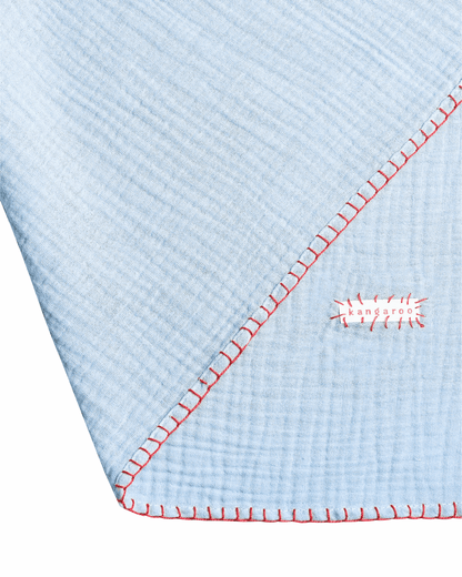 Swaddle [In Blue]
