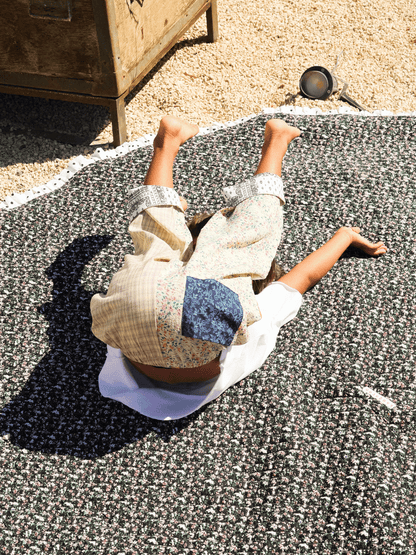 The Caravan Pants [In Paisley Baby]